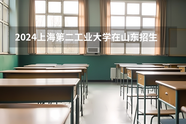 2024上海第二工业大学在山东招生计划表