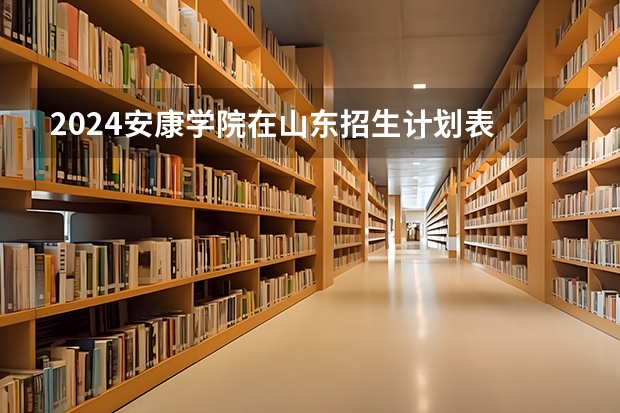 2024安康学院在山东招生计划表