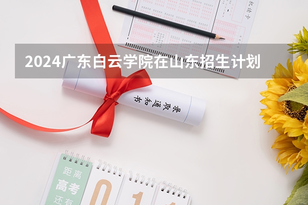 2024广东白云学院在山东招生计划表