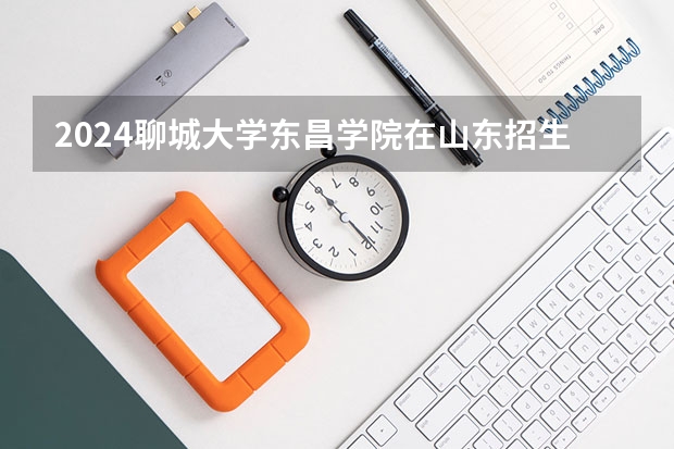 2024聊城大学东昌学院在山东招生计划表