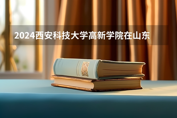 2024西安科技大学高新学院在山东招生计划表