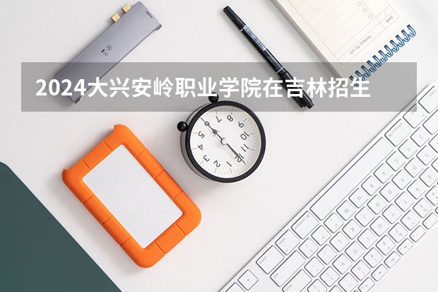 2024大兴安岭职业学院在吉林招生计划表