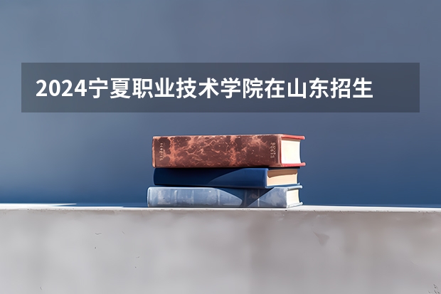 2024宁夏职业技术学院在山东招生计划表