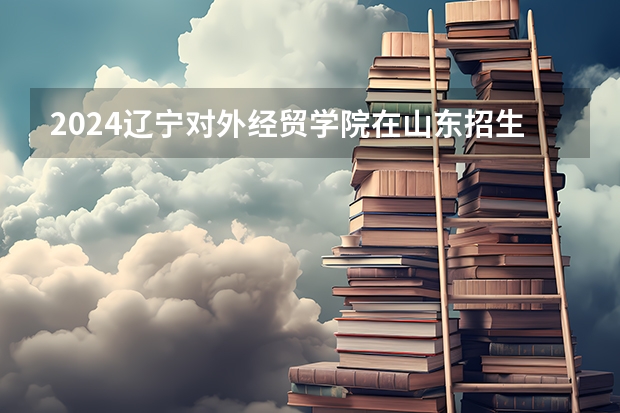 2024辽宁对外经贸学院在山东招生计划表