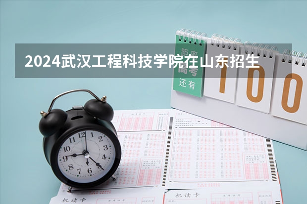 2024武汉工程科技学院在山东招生计划表