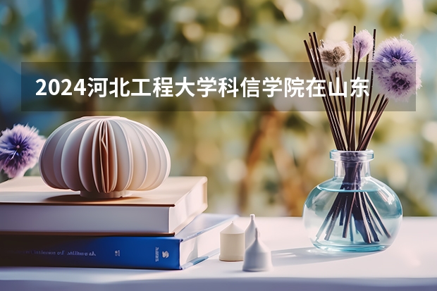 2024河北工程大学科信学院在山东招生计划表