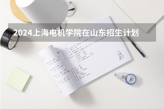2024上海电机学院在山东招生计划表