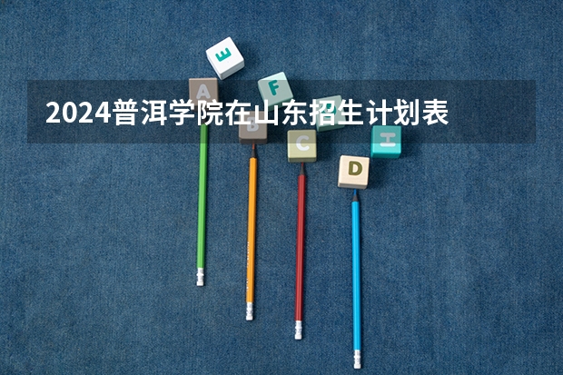 2024普洱学院在山东招生计划表