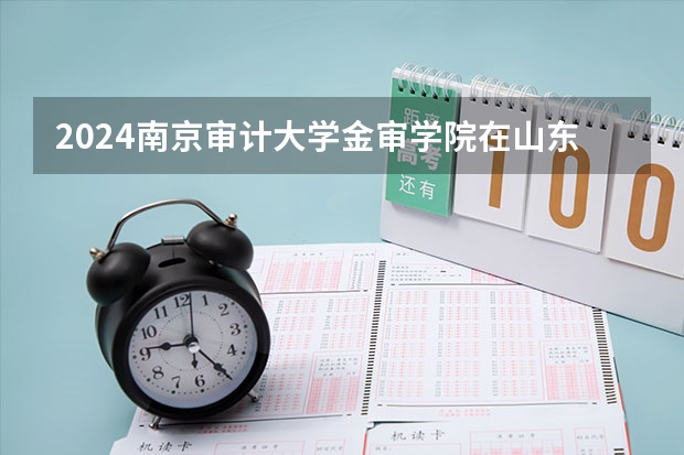 2024南京审计大学金审学院在山东招生计划表