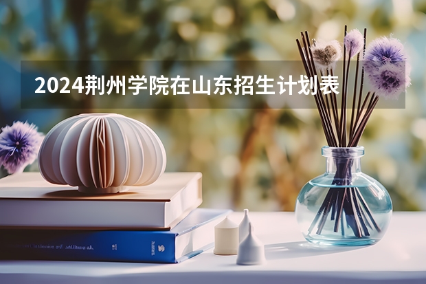 2024荆州学院在山东招生计划表