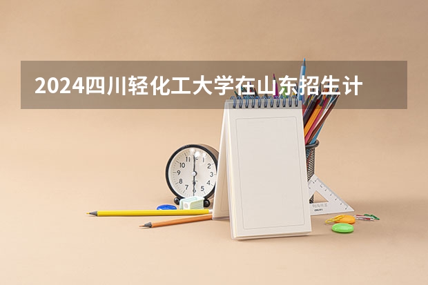 2024四川轻化工大学在山东招生计划表