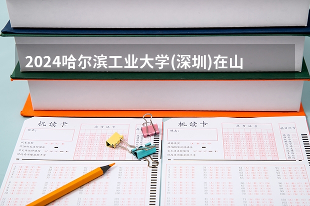 2024哈尔滨工业大学(深圳)在山东招生计划表