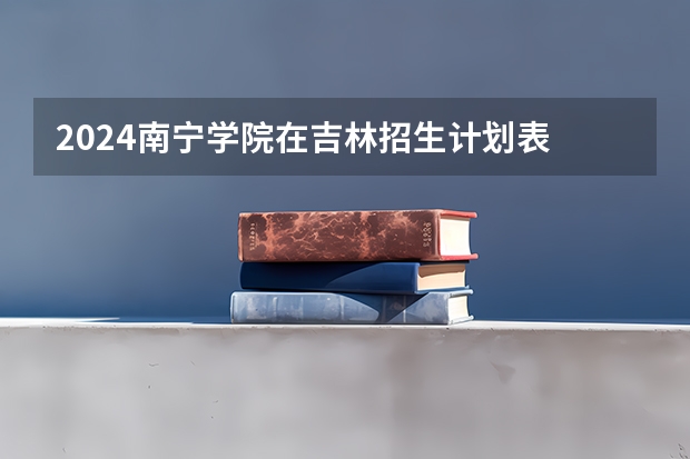 2024南宁学院在吉林招生计划表