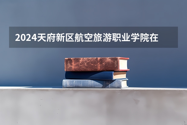 2024天府新区航空旅游职业学院在吉林招生计划表