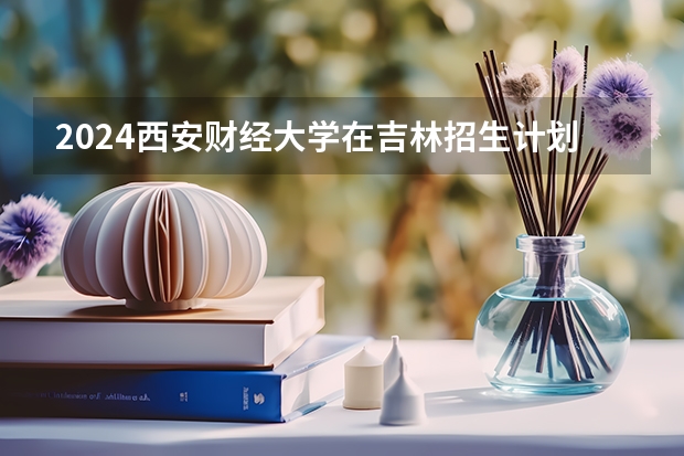 2024西安财经大学在吉林招生计划表