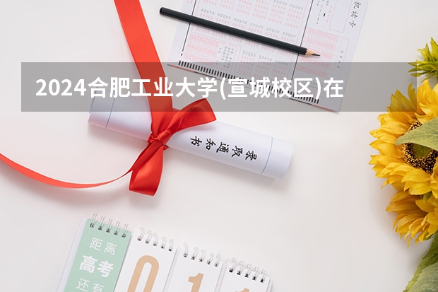 2024合肥工业大学(宣城校区)在江西招生计划表