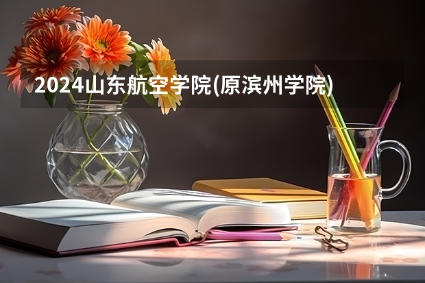 2024山东航空学院(原滨州学院)在四川招生计划表