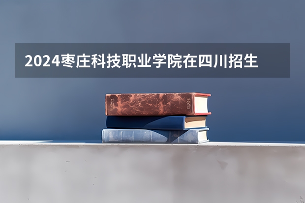 2024枣庄科技职业学院在四川招生计划表