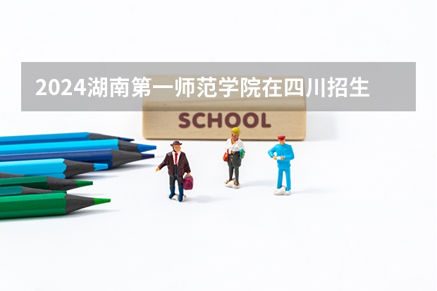 2024湖南第一师范学院在四川招生计划表