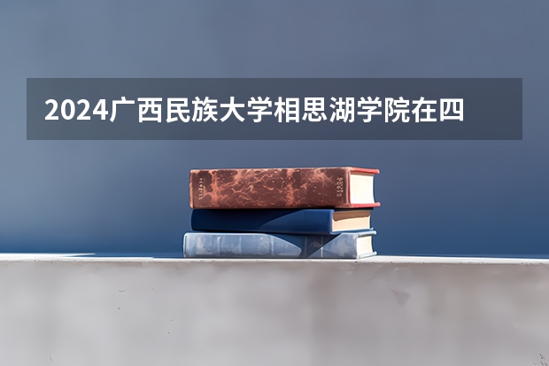 2024广西民族大学相思湖学院在四川招生计划表