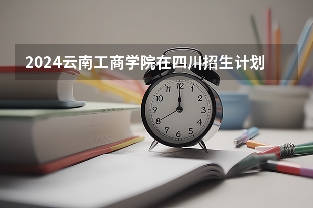 2024云南工商学院在四川招生计划表