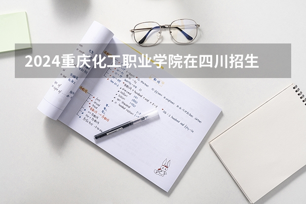 2024重庆化工职业学院在四川招生计划表