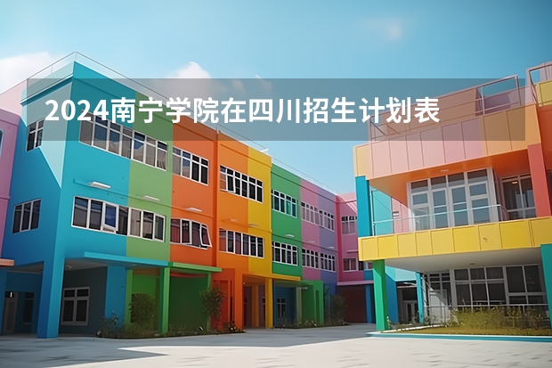 2024南宁学院在四川招生计划表