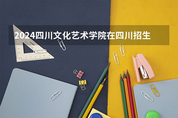 2024四川文化艺术学院在四川招生计划表