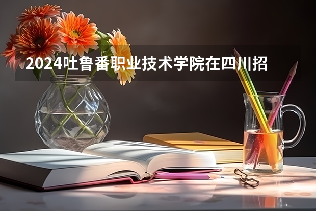 2024吐鲁番职业技术学院在四川招生计划表