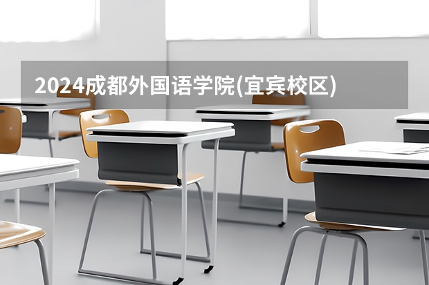 2024成都外国语学院(宜宾校区)在四川招生计划表