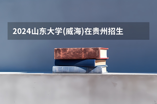 2024山东大学(威海)在贵州招生计划表