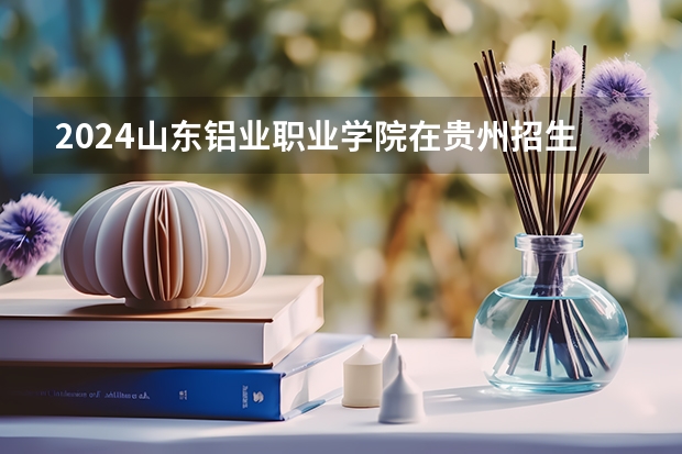 2024山东铝业职业学院在贵州招生计划表