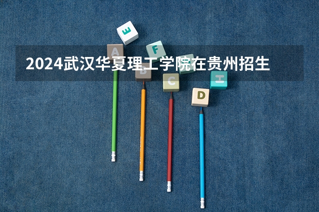 2024武汉华夏理工学院在贵州招生计划表