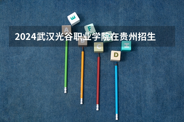 2024武汉光谷职业学院在贵州招生计划表
