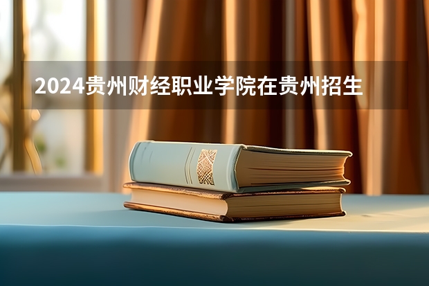 2024贵州财经职业学院在贵州招生计划表