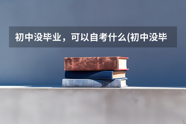 初中没毕业，可以自考什么(初中没毕业可以参加自考..成人高考或者网络教育吗？)？