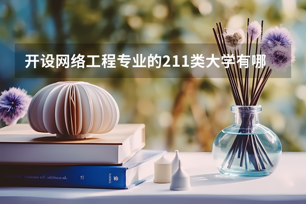 开设网络工程专业的211类大学有哪些