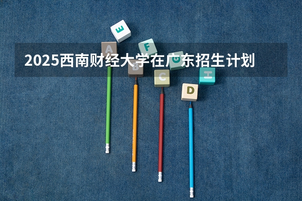 2025西南财经大学在广东招生计划表