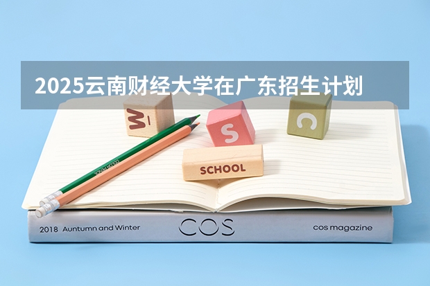 2025云南财经大学在广东招生计划表