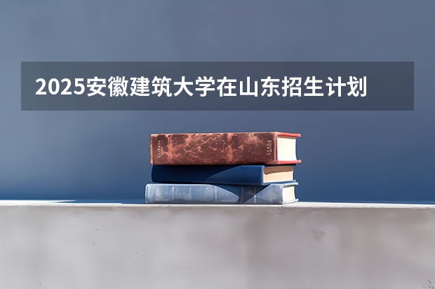 2025安徽建筑大学在山东招生计划表